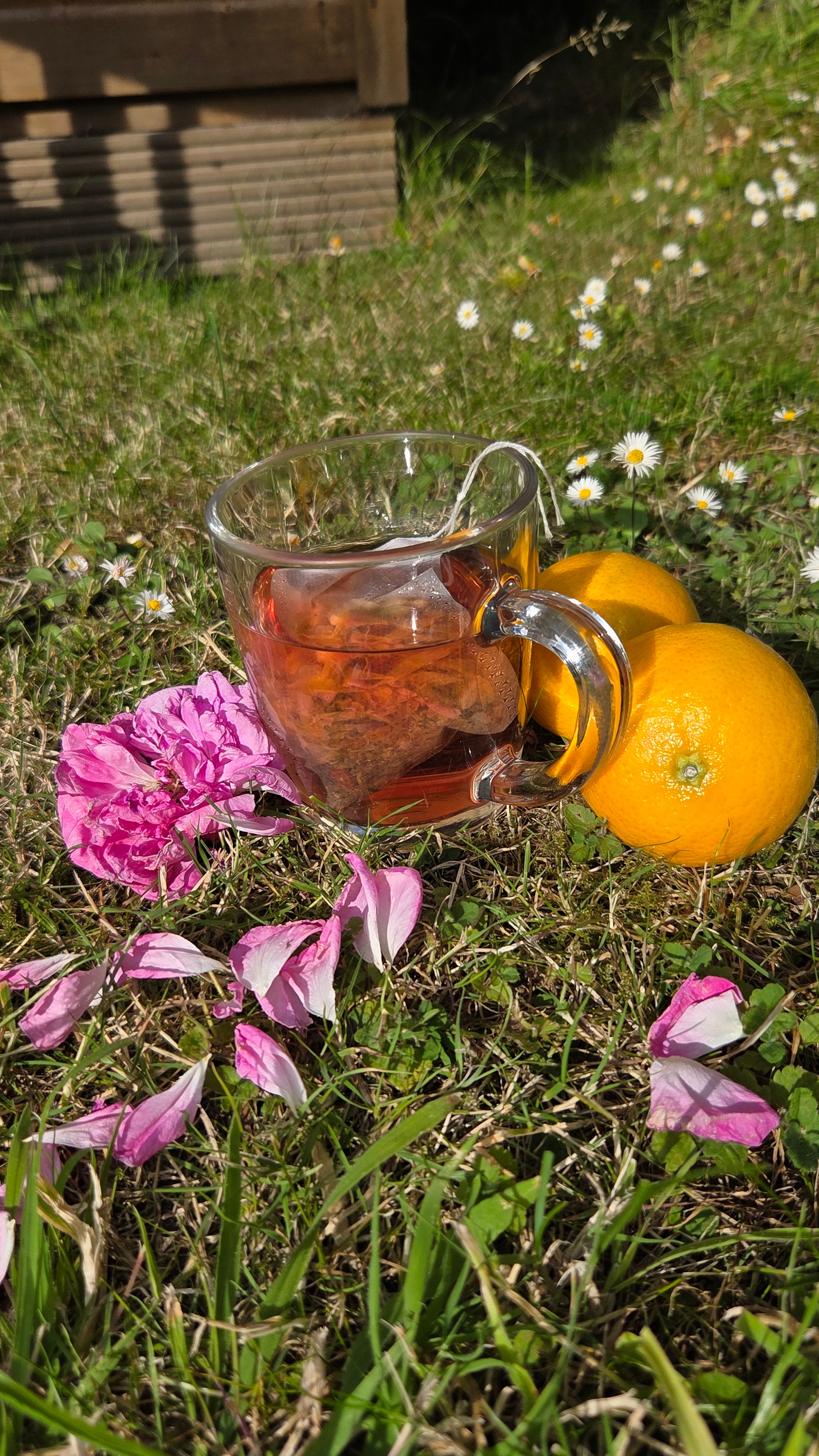 Bloom & Prosper Botanical Infusion