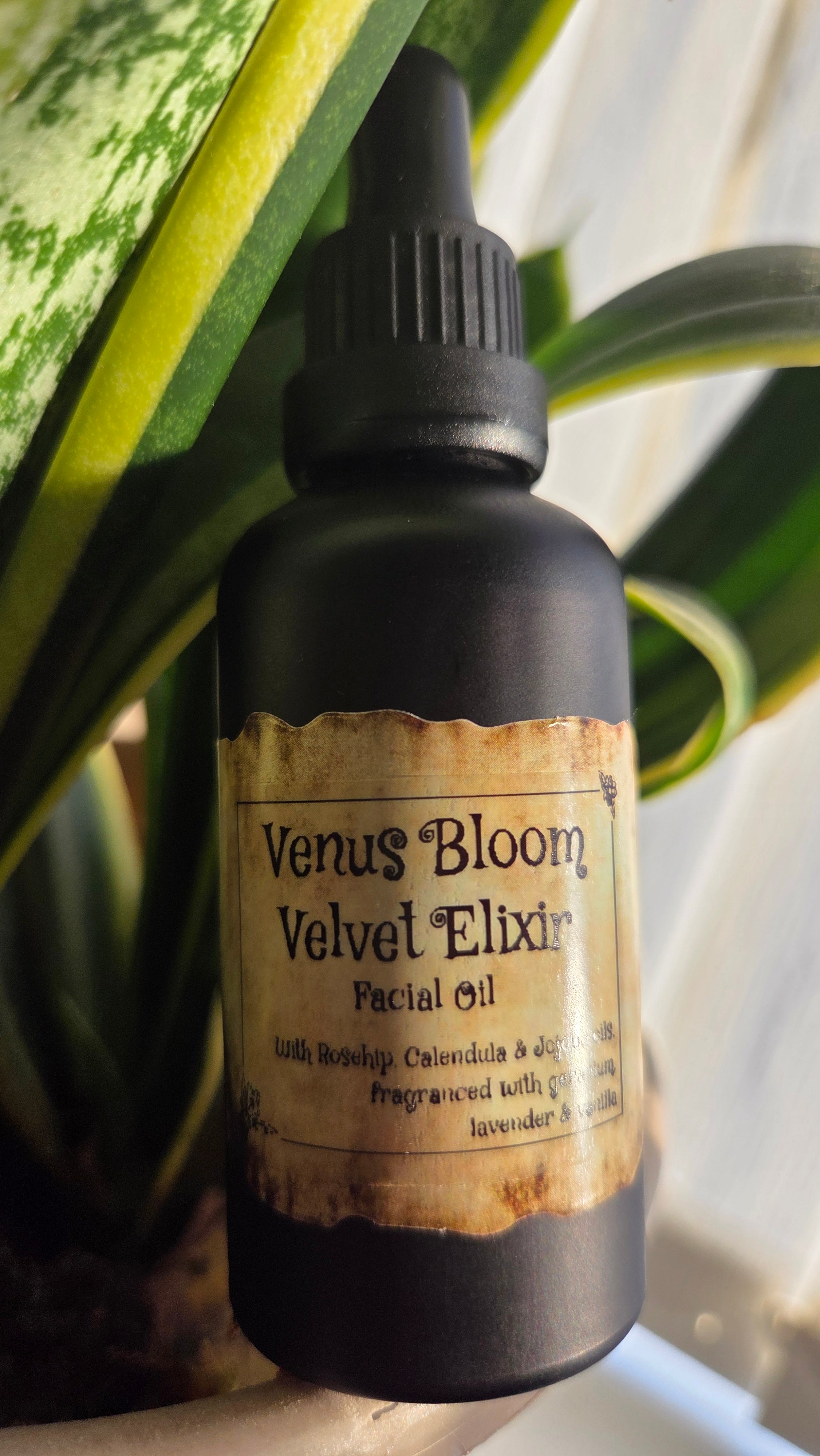 Venus Bloom Velvet Elixir Face oil
