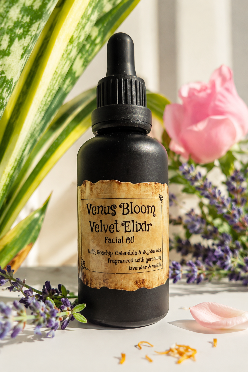 Venus Bloom Velvet Elixir Face oil