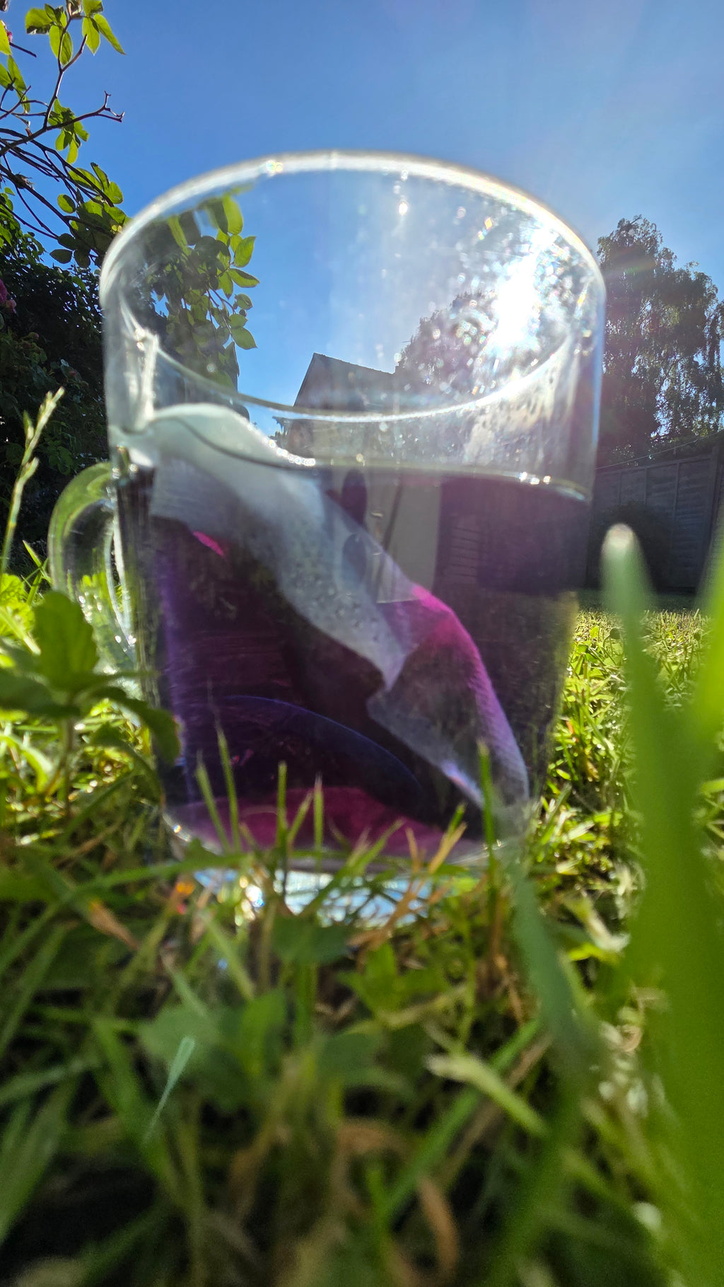 Moonlit Bloom Herbal tea