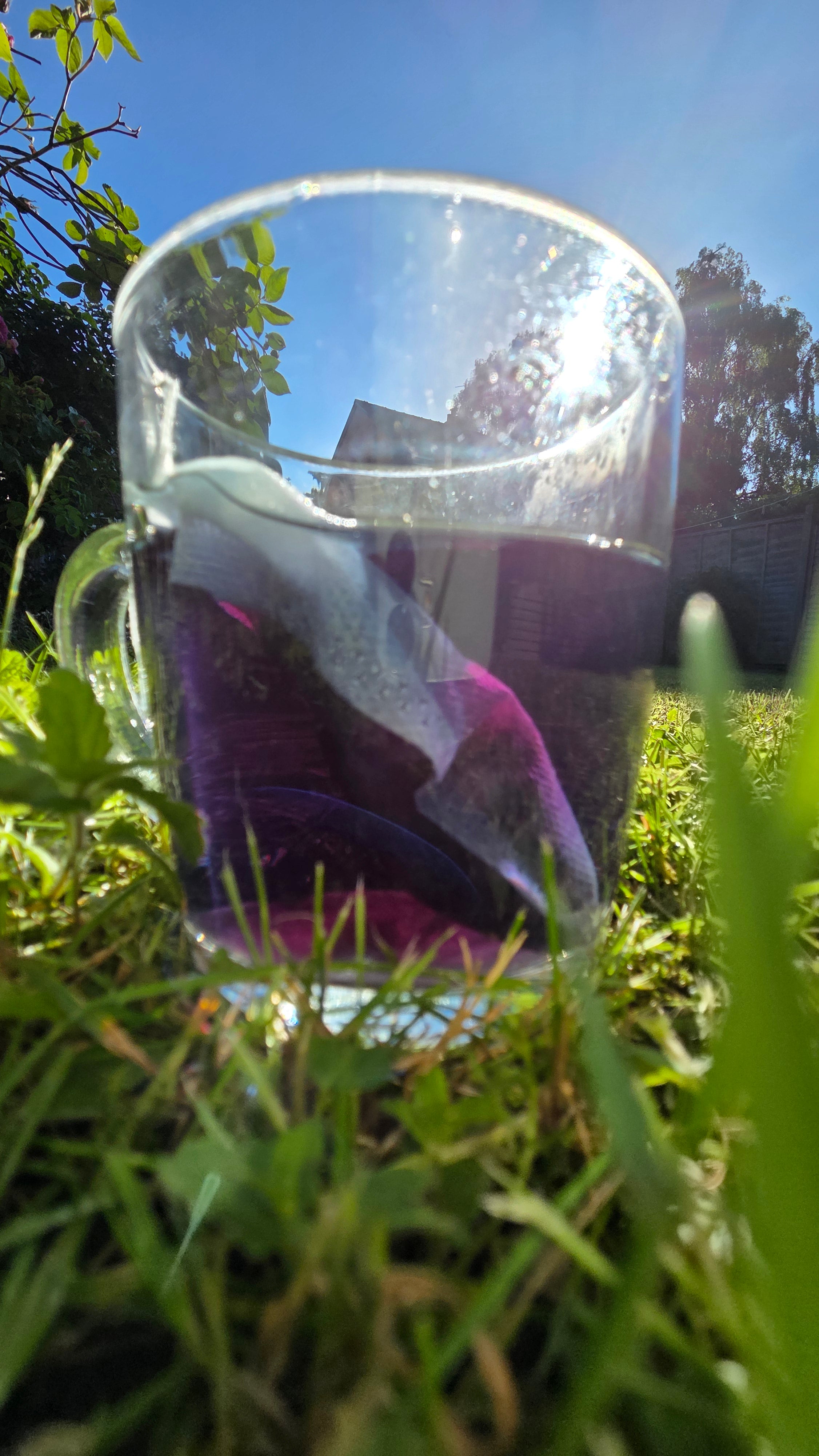 Moonlit Bloom Herbal tea