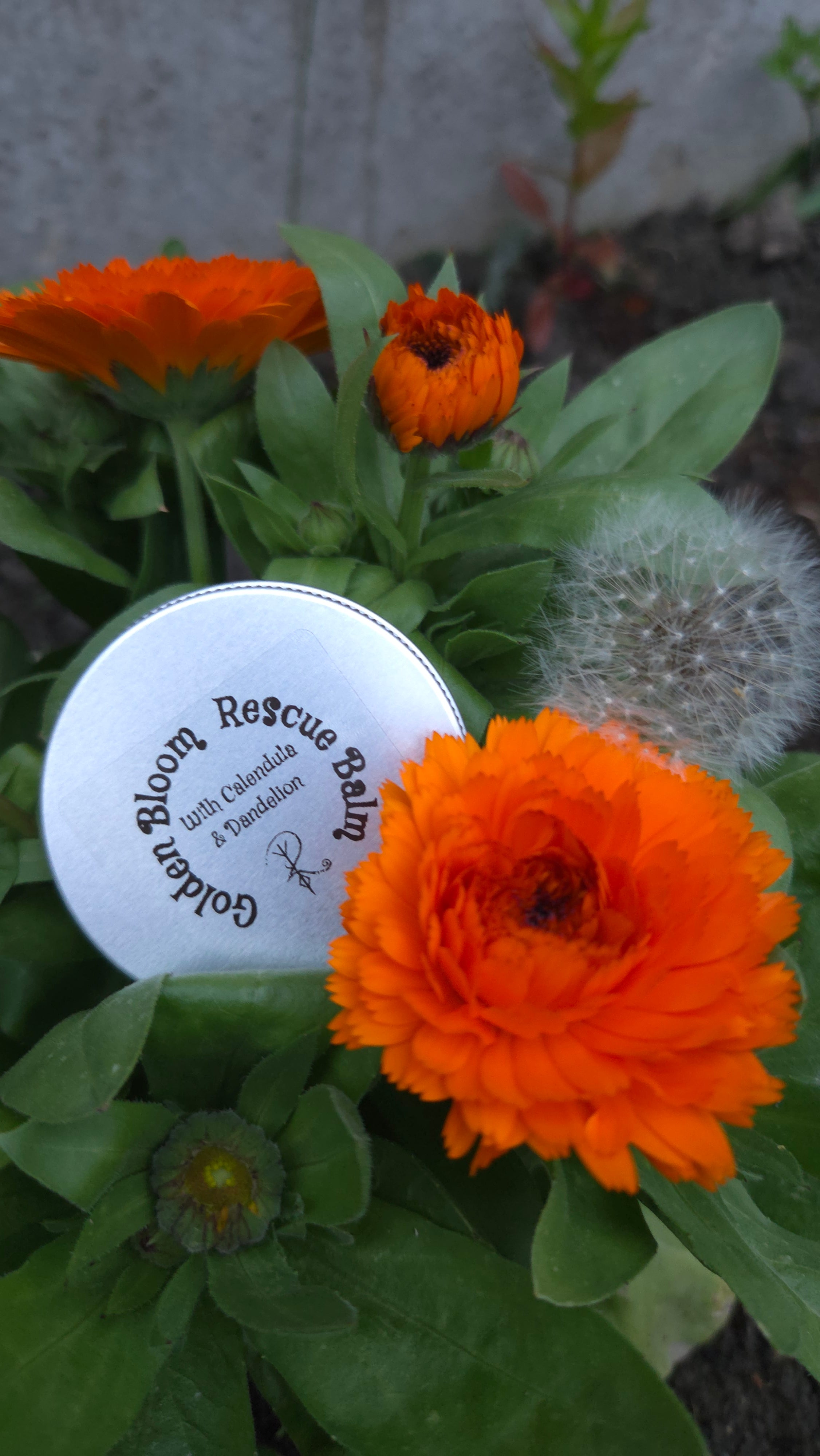 Golden Bloom Rescue Balm