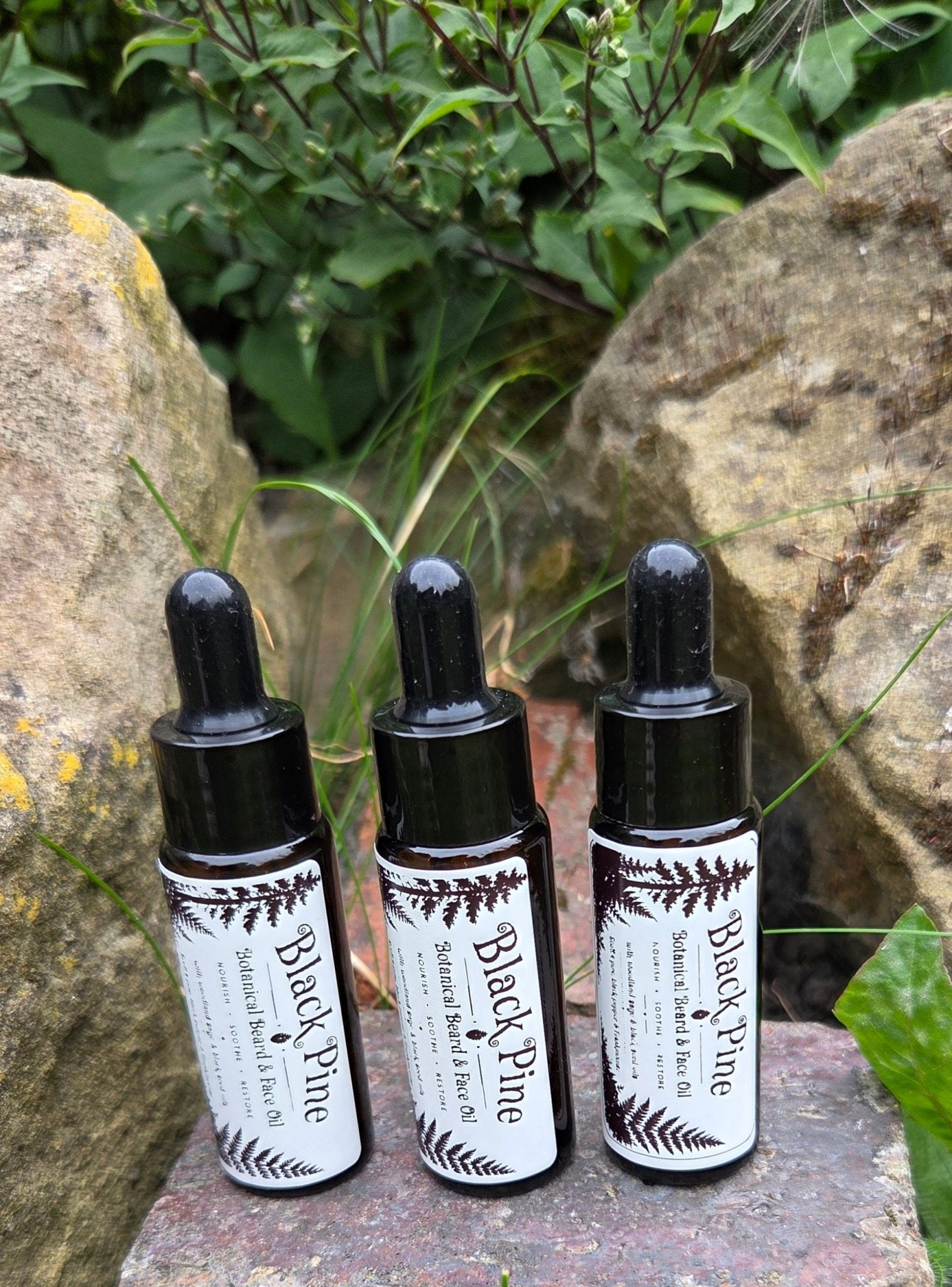Black Pine Beard & Face Oil 20ml - Rooted in Magic